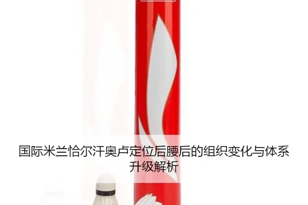 国际米兰恰尔汗奥卢定位后腰后的组织变化与体系升级解析