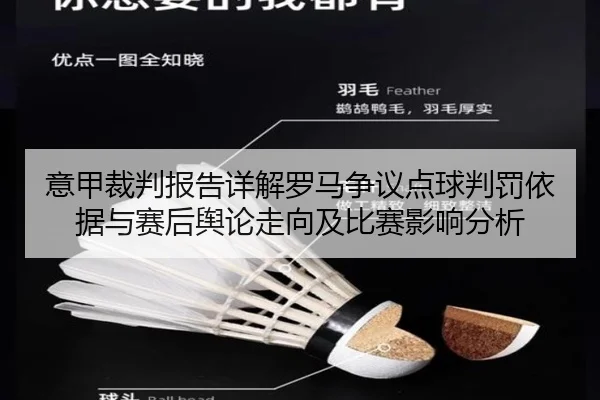 意甲裁判报告详解罗马争议点球判罚依据与赛后舆论走向及比赛影响分析